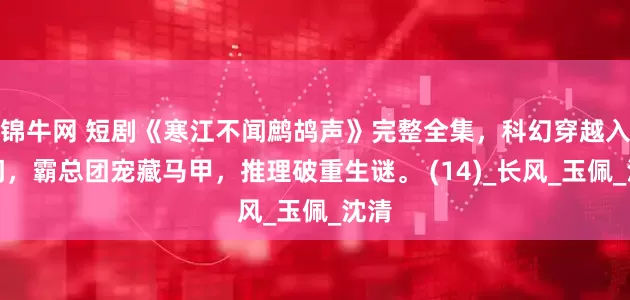 锦牛网 短剧《寒江不闻鹧鸪声》完整全集，科幻穿越入豪门，霸总团宠藏马甲，推理破重生谜。 (14)_长风_玉佩_沈清
