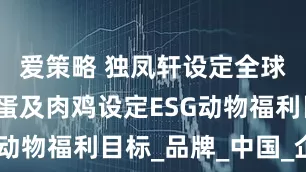 爱策略 独凤轩设定全球非笼养鸡蛋及肉鸡设定ESG动物福利目标_品牌_中国_企业