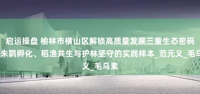 启运操盘 榆林市横山区解锁高质量发展三重生态密码——朱鹮孵化、稻渔共生与护林坚守的实践样本_范元义_毛乌素