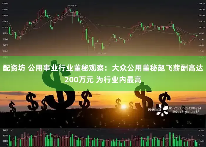 配资坊 公用事业行业董秘观察：大众公用董秘赵飞薪酬高达200万元 为行业内最高