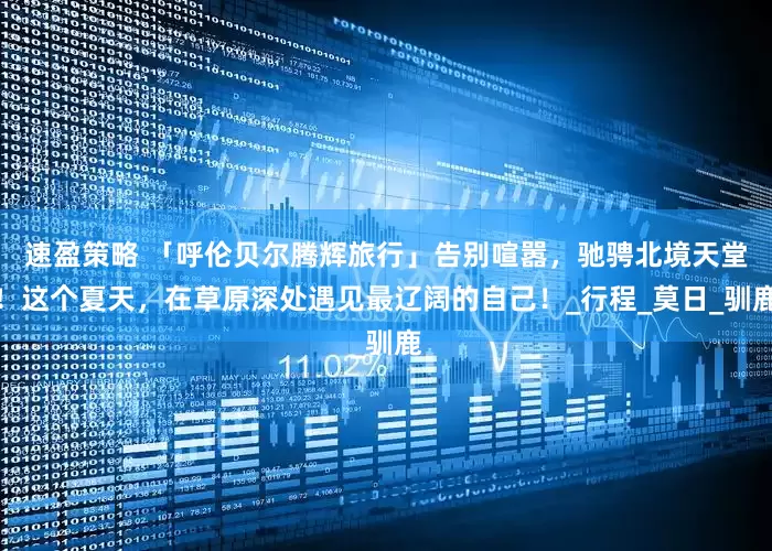 速盈策略 「呼伦贝尔腾辉旅行」告别喧嚣，驰骋北境天堂！这个夏天，在草原深处遇见最辽阔的自己！_行程_莫日_驯鹿