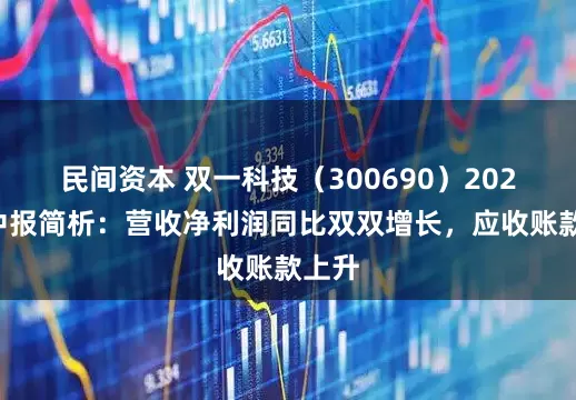 民间资本 双一科技（300690）2025年中报简析：营收净利润同比双双增长，应收账款上升