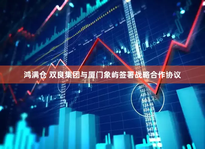 鸿满仓 双良集团与厦门象屿签署战略合作协议
