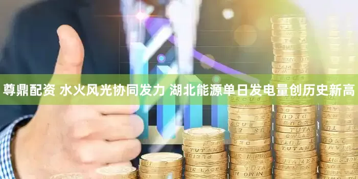 尊鼎配资 水火风光协同发力 湖北能源单日发电量创历史新高