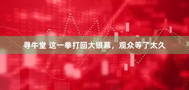 寻牛堂 这一拳打回大银幕，观众等了太久